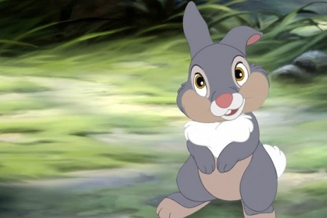 Thumper-cropped