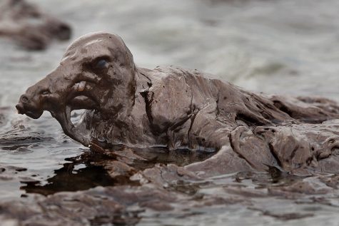 A laughing gull is mired in oil on the beach at East Grand Terre Island along the Louisiana coast after being drenched in oil from the Deepwater Horizon oil spill Thursday, June 3, 2010. (AP Photo/Charlie Riedel)