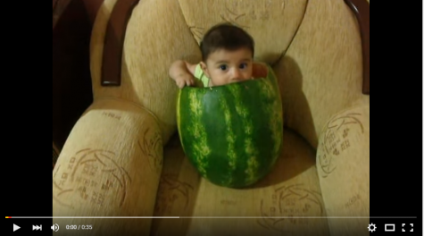Seven videos that might change your life