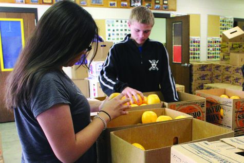 Fruit sales rack up thousands of dollars for upcoming events