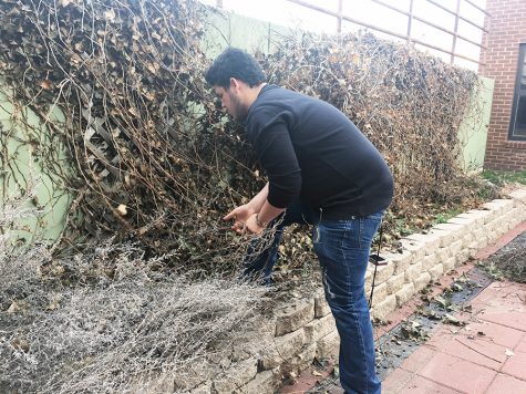 Student Council Community Service Committee remodels outdoor courtyard