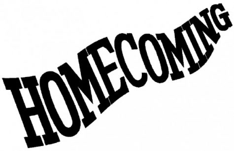 2017 Homecoming candidates